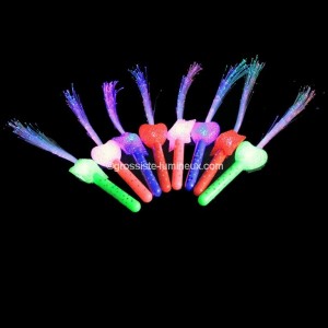 Fouet Lumineux Fibre  "&Eacute;toile" "Coeur "