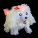 Peluche lumineuse animée
